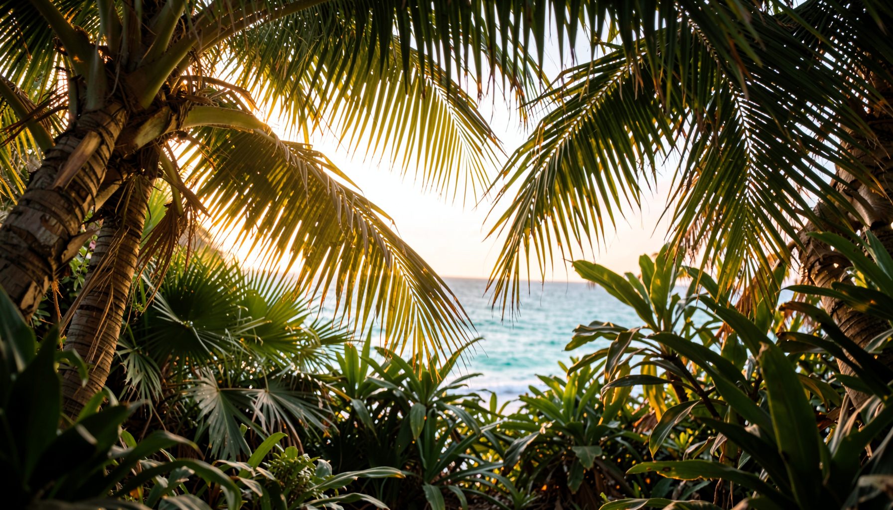 Warm tropical scene with soft golden light filtering through palm fronds, deep green foliage, and hints of turquoise sea