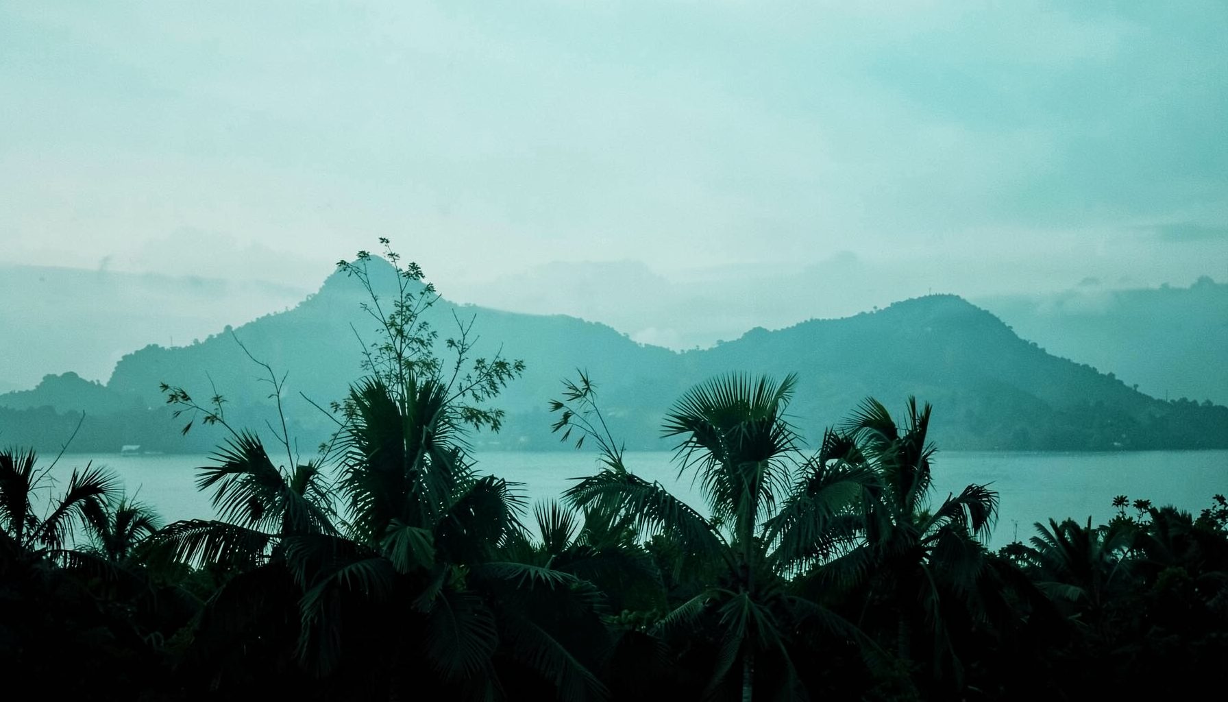 Wide panoramic silhouette of Philippine islands and palm fronds in muted teal and forest green against a misty horizon
